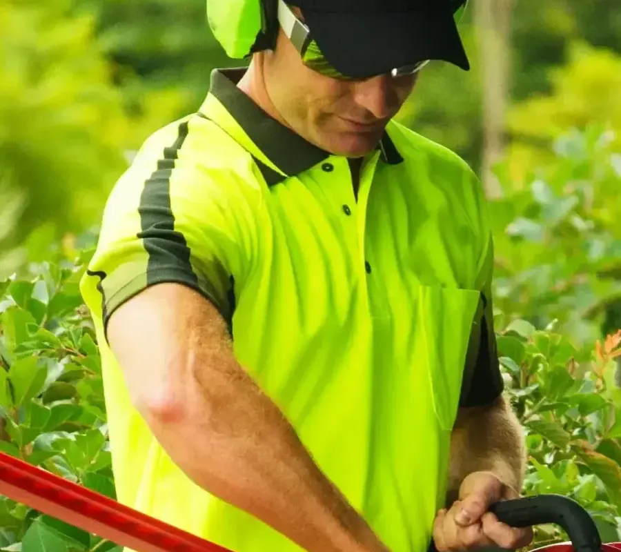 Lawn Mowing and Gardening Services featured image || "featured image"